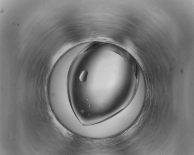 X0000088721054200705311418