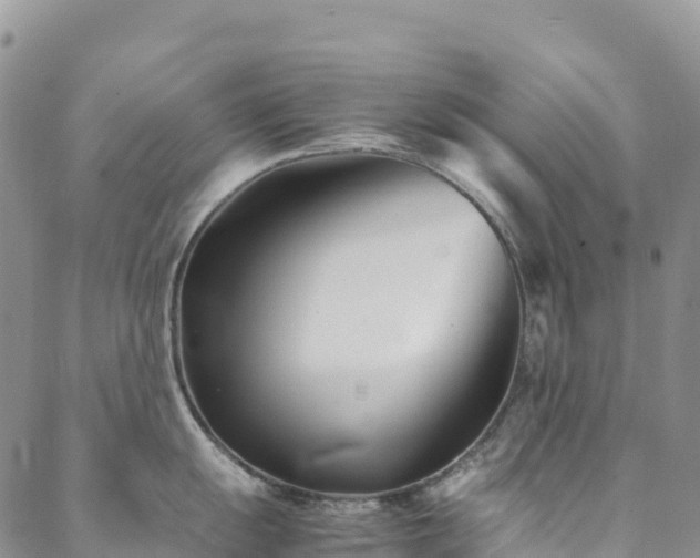 X0000088721055200705311418