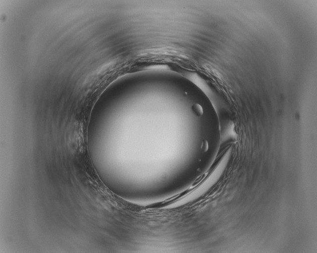 X0000088721062200705311417