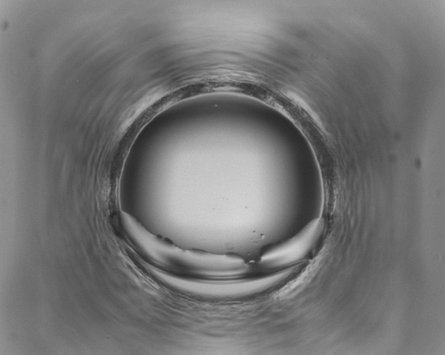 X0000088721065200705311417