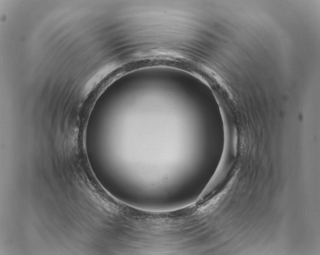 X0000088721066200705311417