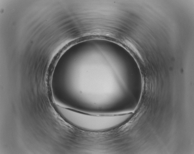 X0000088721068200705311417
