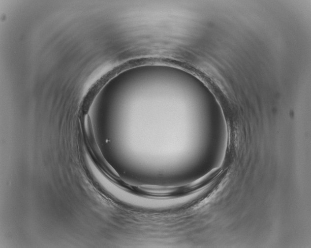 X0000088721069200705311417