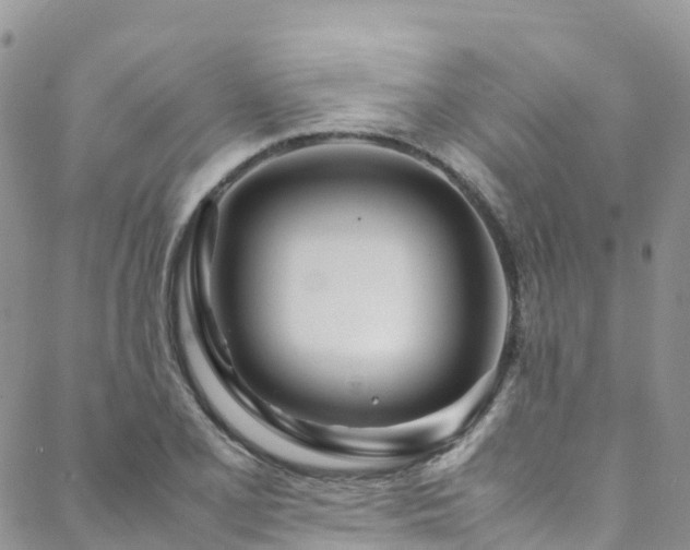 X0000088721077200705311417