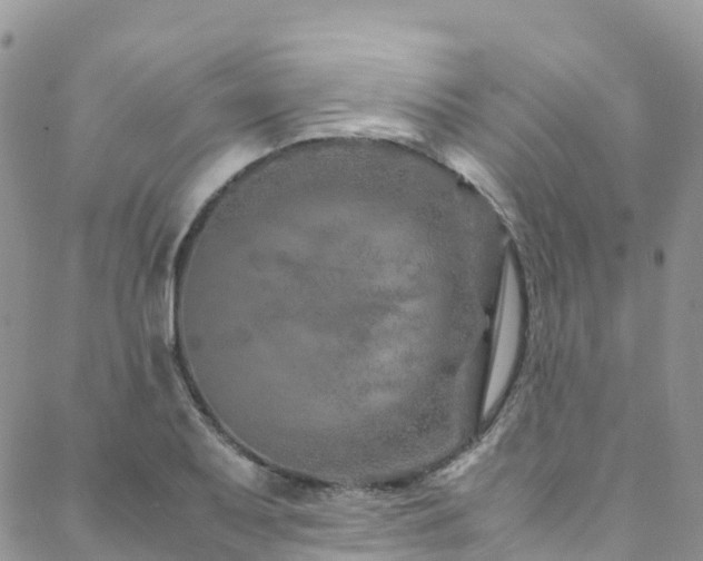 X0000088721079200705311417