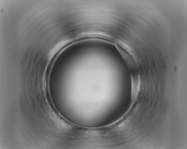 X0000088721082200705311417