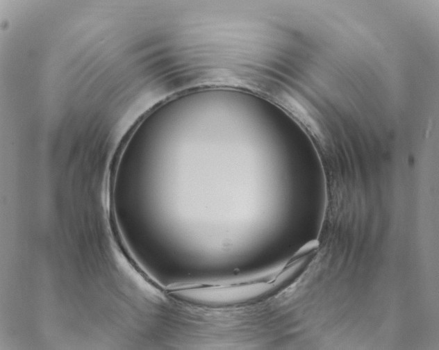 X0000088721084200705311417