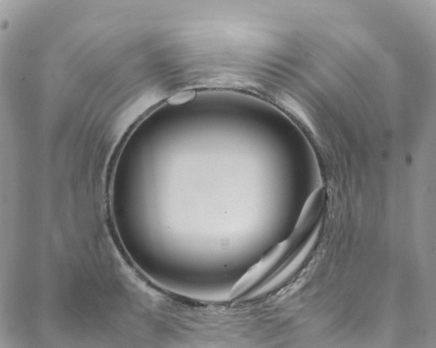X0000088721087200705311416