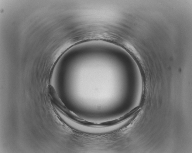 X0000088721089200705311416