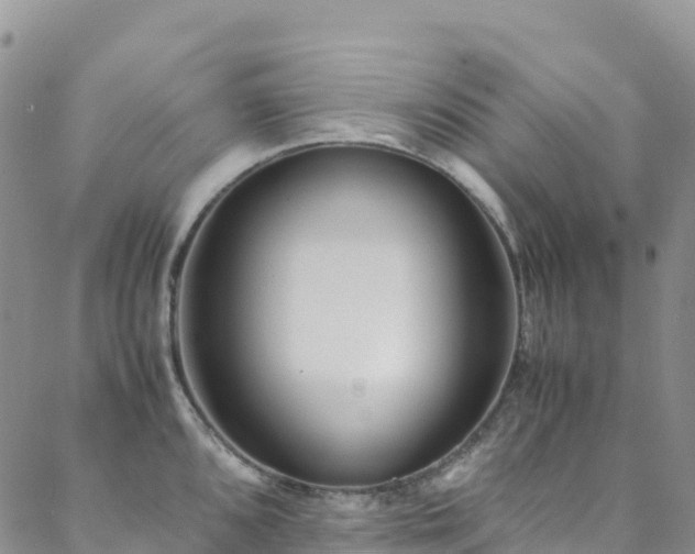 X0000088721096200705311416