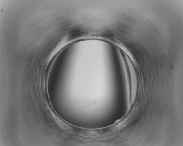 X0000088721101200705311416