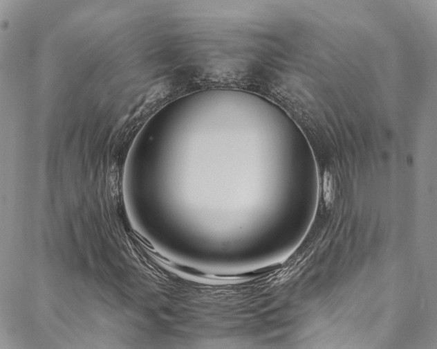 X0000088721107200705311415