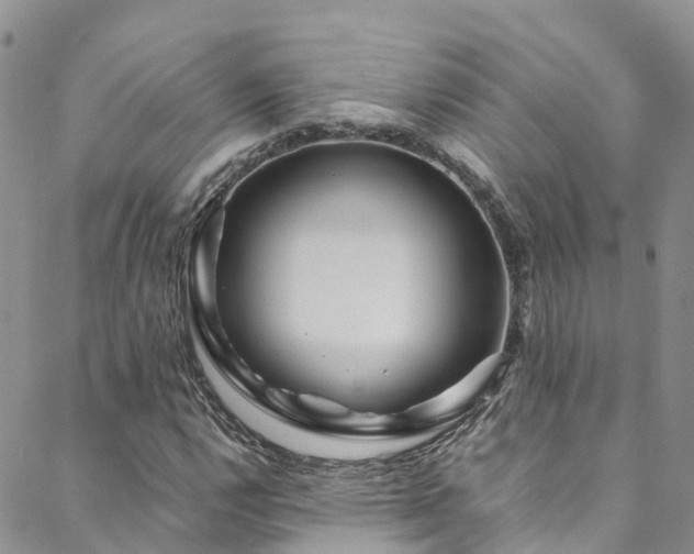 X0000088721112200705311416