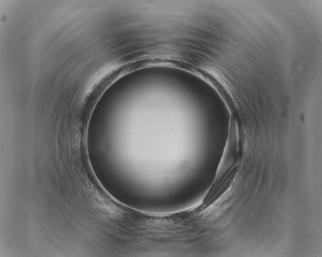 X0000088721115200705311416