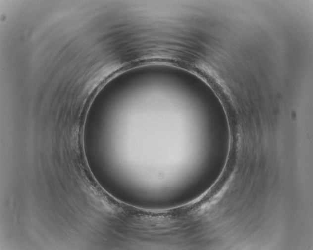 X0000088721121200705311416