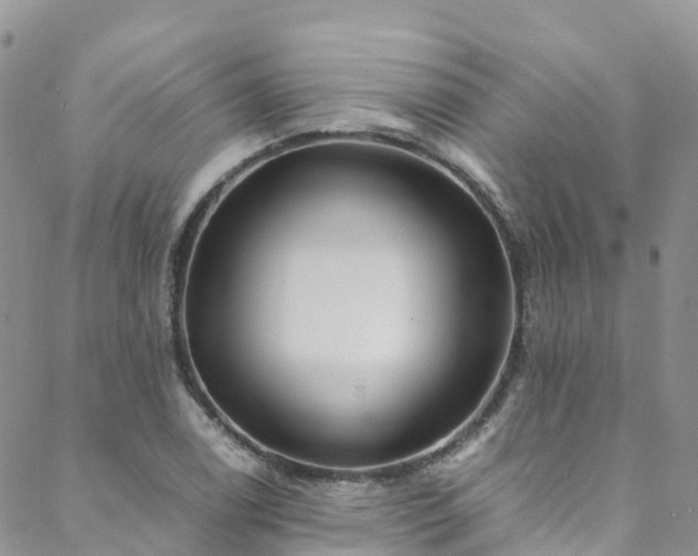 X0000088721122200705311416