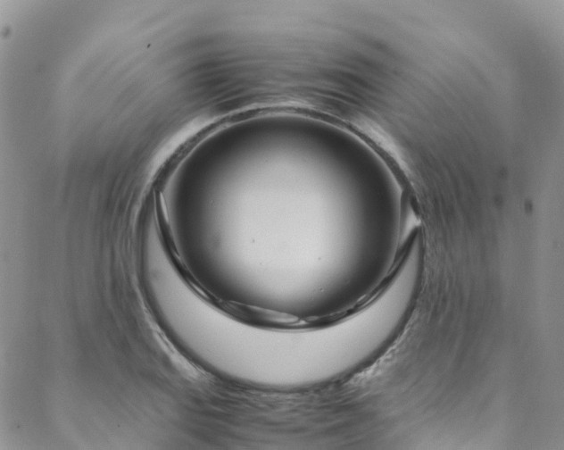 X0000088721127200705311416
