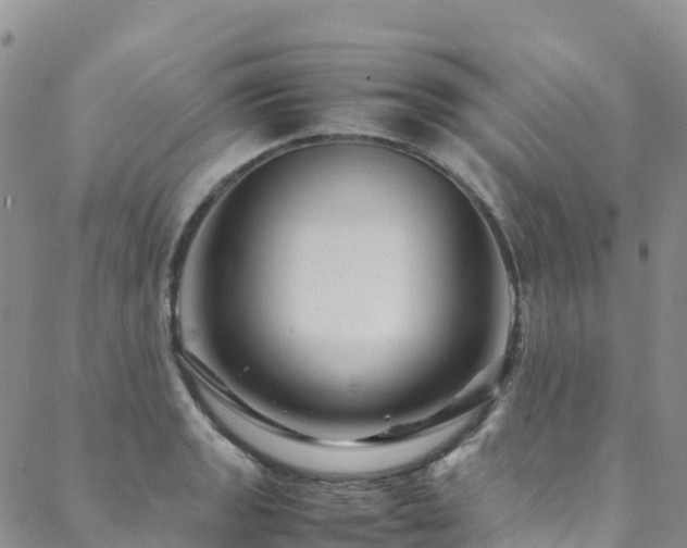 X0000088721133200705311416