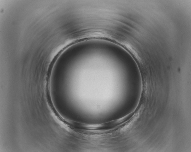 X0000088721134200705311416