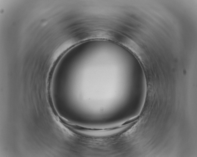 X0000088721135200705311416