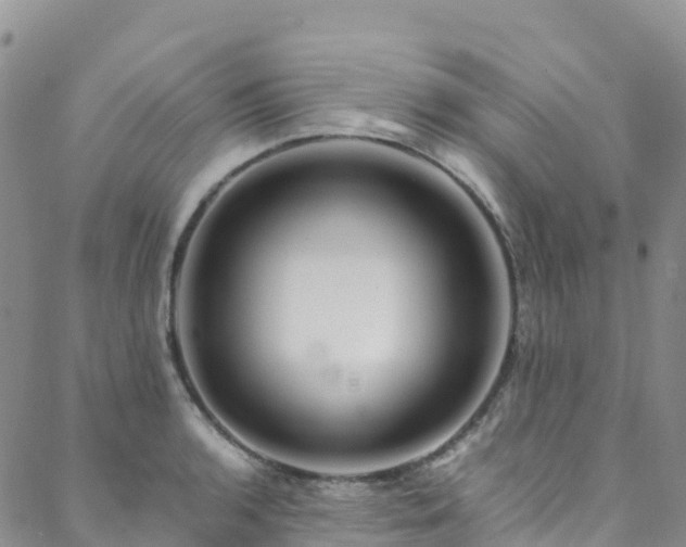 X0000088721136200705311416
