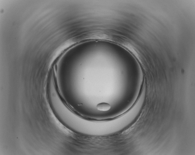 X0000088721139200705311416