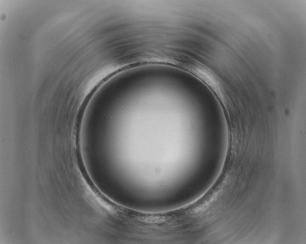 X0000088721141200705311416