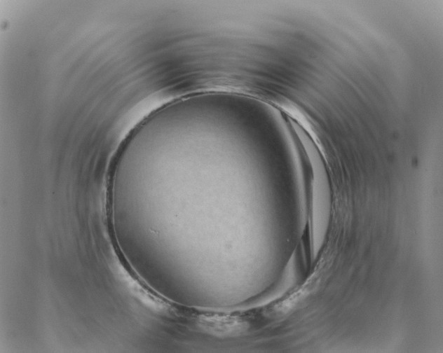 X0000088721147200705311416