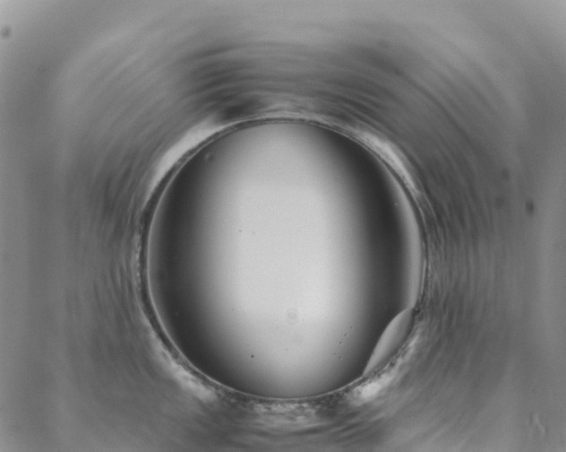 X0000088721149200705311416