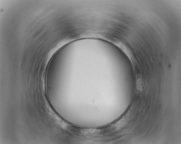 X0000088721150200705311416