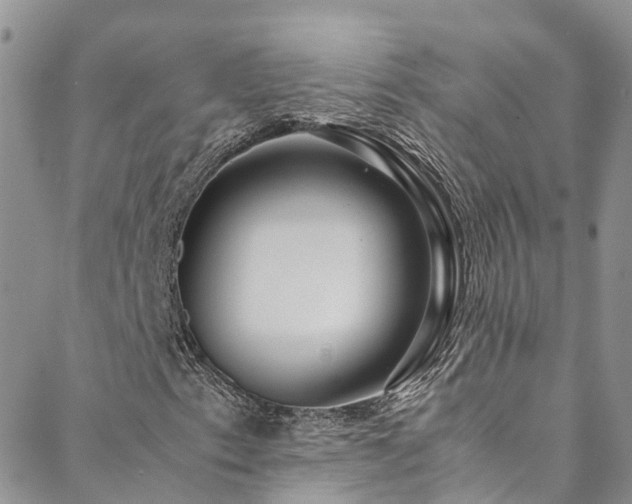 X0000088721153200705311415