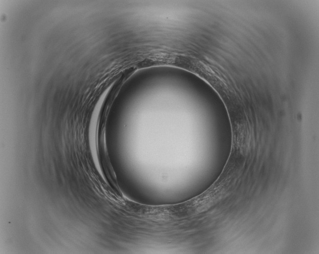 X0000088721154200705311415