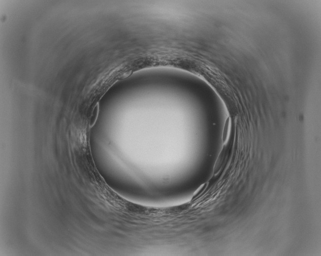 X0000088721155200705311415