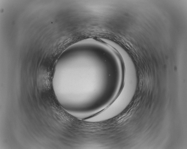 X0000088721156200705311415