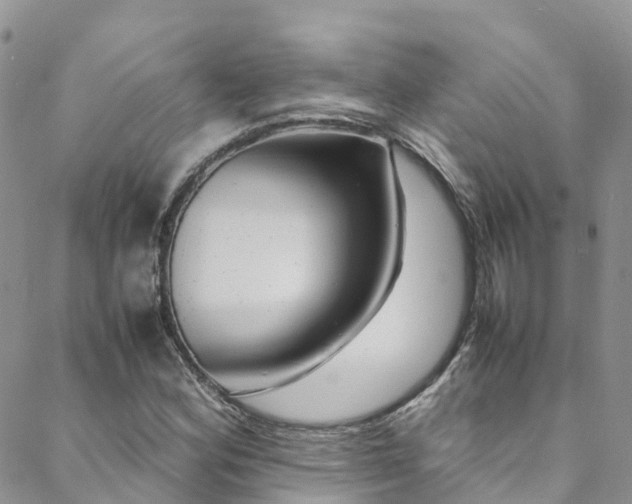 X0000088721164200705311415