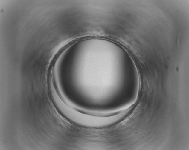 X0000088721168200705311415