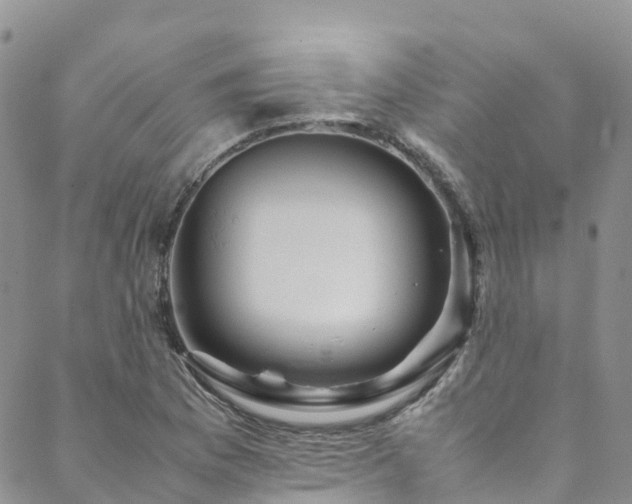 X0000088721169200705311415