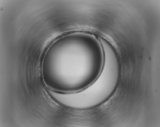 X0000088721172200705311415