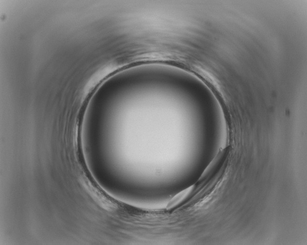 X0000088721179200705311415