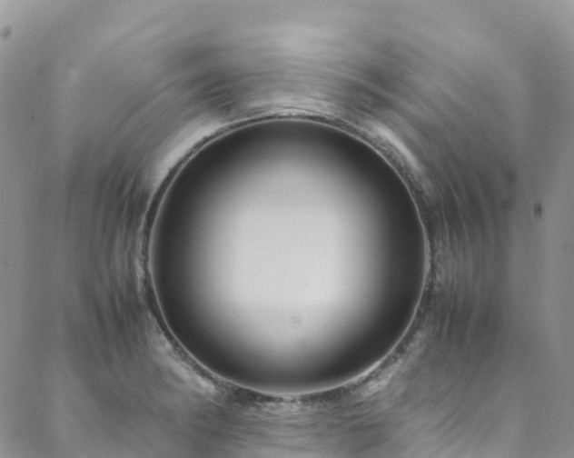 X0000088721182200705311415