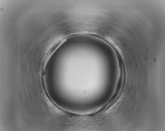 X0000088721189200705311415