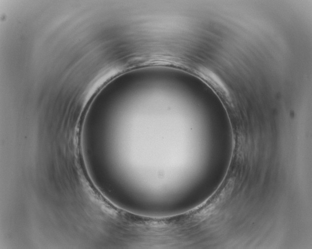 X0000088721190200705311415