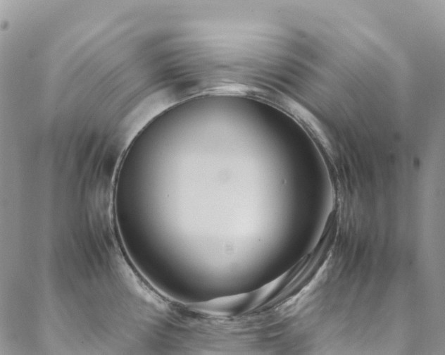 X0000088721194200705311415