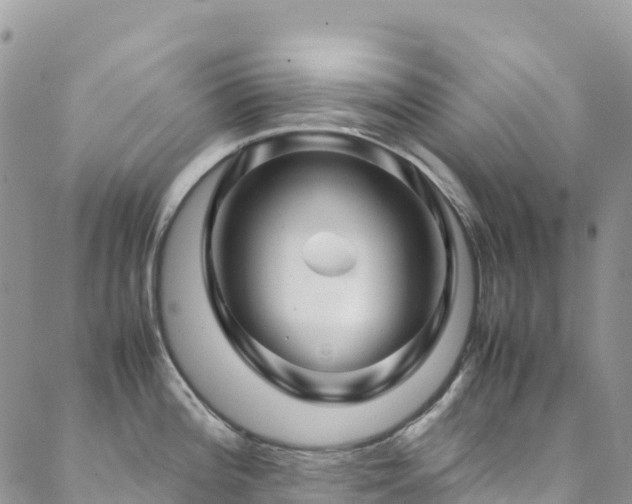 X0000088721196200705311415
