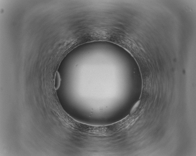 X0000088721201200705311414