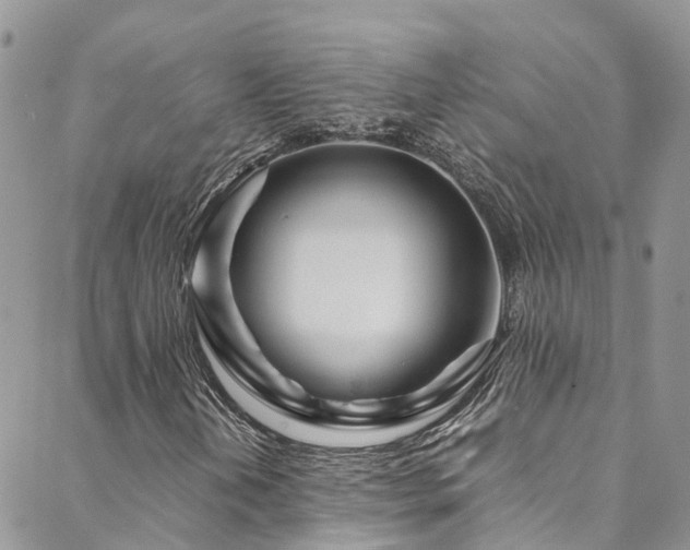 X0000088721202200705311414
