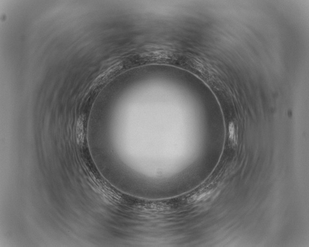 X0000088721203200705311414