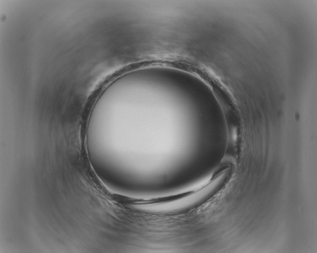 X0000088721214200705311414
