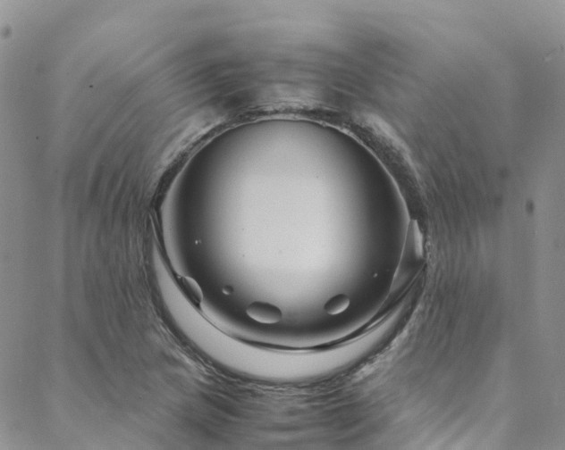 X0000088721217200705311414