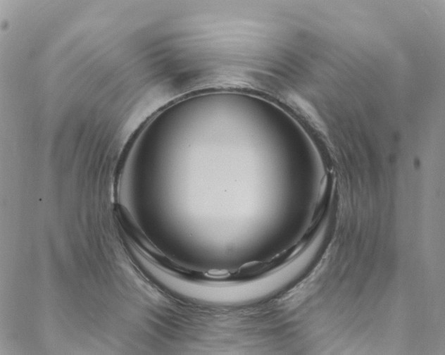 X0000088721226200705311414